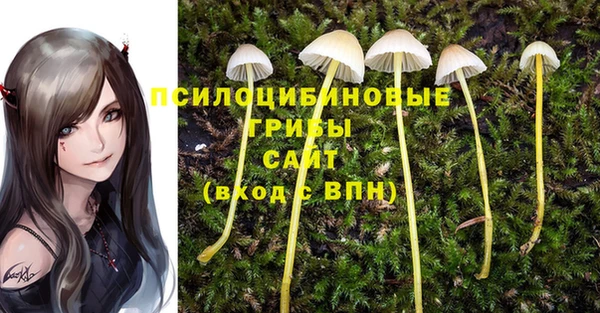мескалин Аркадак