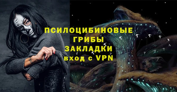 прущая мука Арсеньев