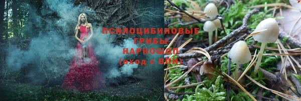 прущая мука Арсеньев