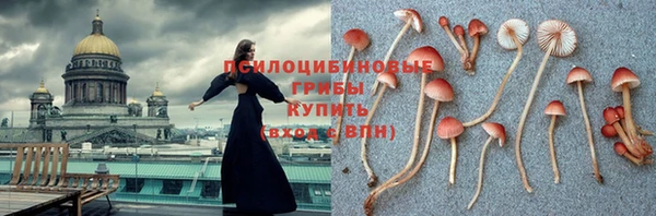 прущая мука Арсеньев